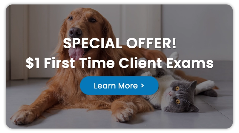 Special Offer! $1 First Time Client Exams