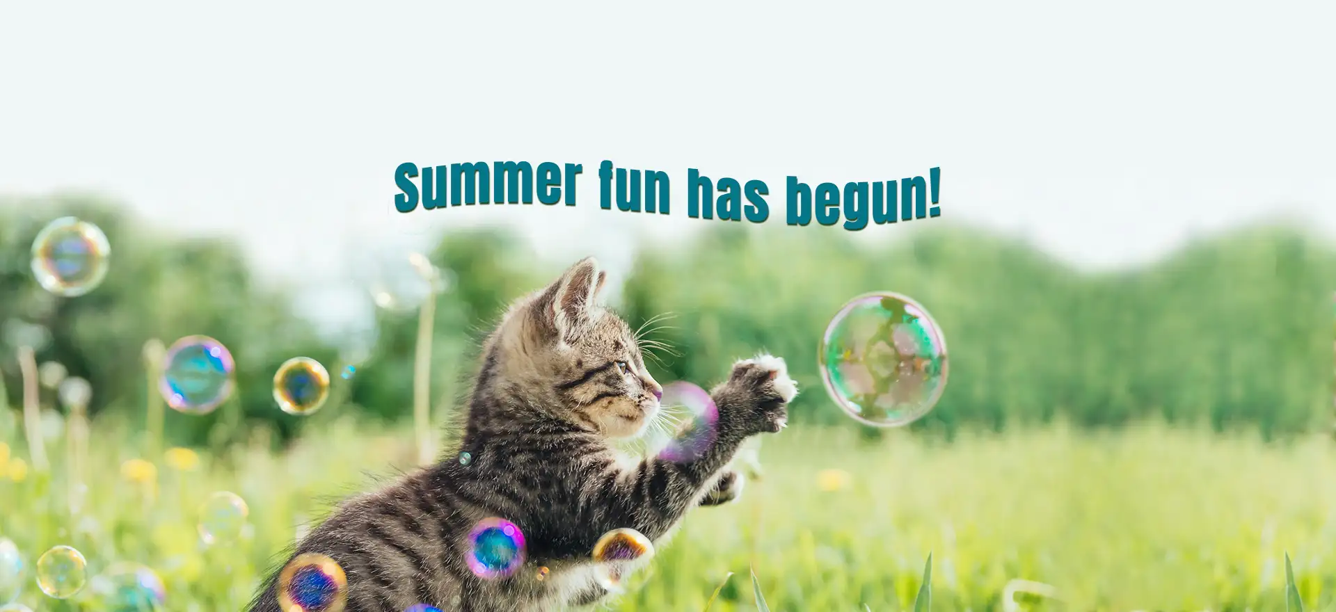 Summer fun has begun!