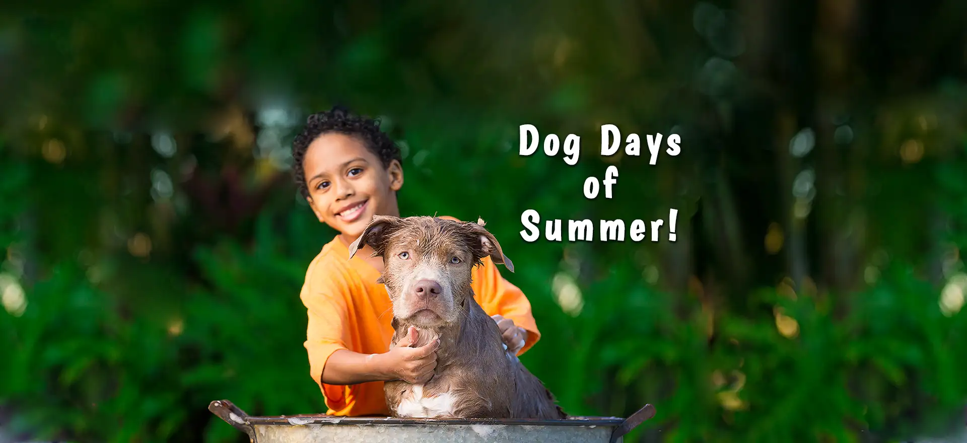 Dog days of Summer!