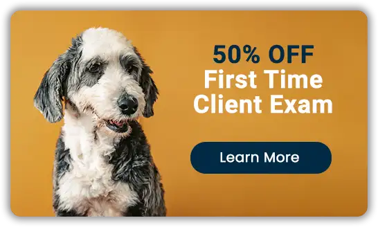 Special Offer! 50% OFF First Time Client Exam