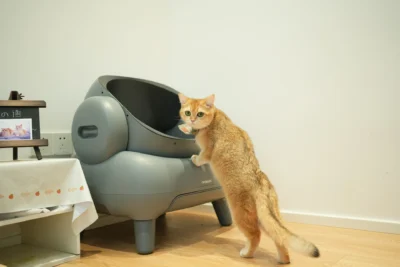 An orange tabby cat stands to peer into a sleek, gray automatic litter box in a modern room.